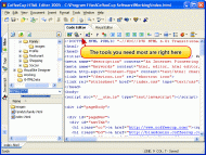 HRML Editor Code Editing Screenshot